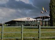 Produtores vão se reunir em Alagoas para discutir desenvolvimento da pecuária no Nordeste

