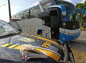 Flagrado transportando drogas, homem tenta jogar maconha no vaso sanitário do banheiro de ônibus