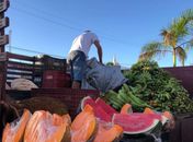 Feira Agrária do Iteral chega ao município de Poço das Trincheiras esta semana