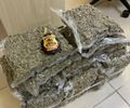 Homem preso com 15kg de maconha no aeroporto de Maceió vinha de Salvador e entregaria na capital