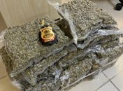 Homem preso com 15kg de maconha no aeroporto de Maceió vinha de Salvador e entregaria na capital
