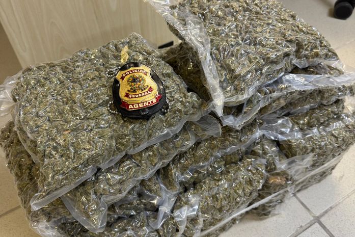 Homem preso com 15kg de maconha no aeroporto de Maceió vinha de Salvador e entregaria na capital