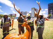 Ornamentação natalina é alvo de vandalismo no Parque Massay-ó-k