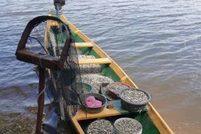 Projeto de pesquisa da Ufal realiza diagnóstico da mariscagem no litoral do Nordeste