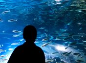 Setembro Dourado chama atenção para câncer em crianças e adolescentes