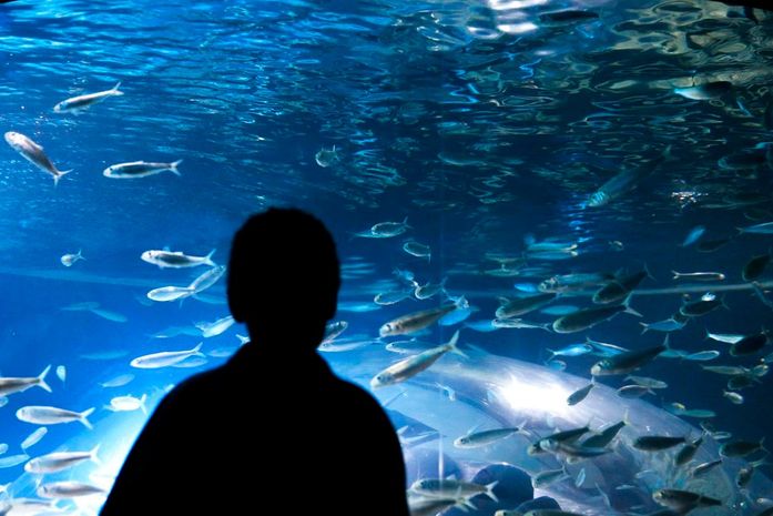 Setembro Dourado chama atenção para câncer em crianças e adolescentes