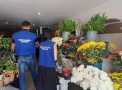 Procon divulga pesquisa de preços com produtos e serviços mais procurados no dia de finados