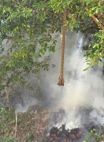 Incêndio é registrado em área de preservação ambiental em Fernão Velho