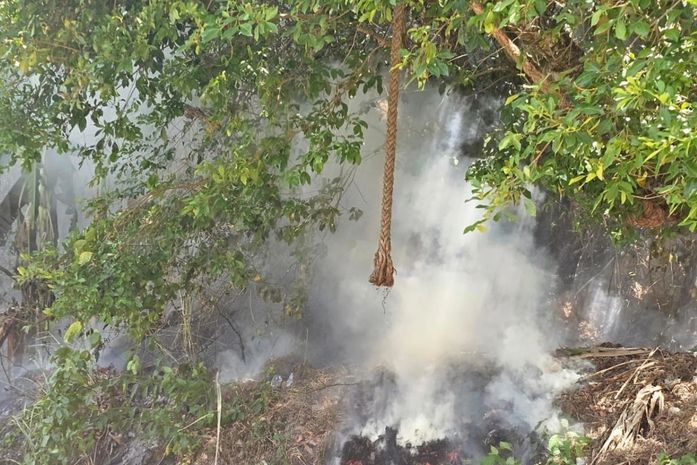 Incêndio é registrado em área de preservação ambiental em Fernão Velho
