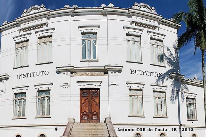 Butantan pede autorização para testar soro contra covid-19 em humanos