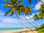 Praia mais azul de Alagoas está em Porto de Pedras