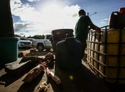 FPI interdita dois abatedouros clandestinos no Sertão; um deles também funcionava como pocilga