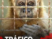 Livro revela a rota do “Tráfico da Fauna em Alagoas”