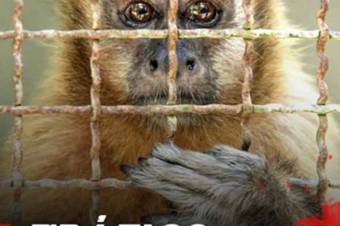 Livro revela a rota do “Tráfico da Fauna em Alagoas”