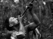 Dois concorrentes ao Oscar entram em cartaz no Cine Arte Pajuçara