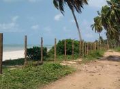 Praias estão sendo cercadas e acesso é restrito no litoral norte de Alagoas
