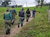 Operação Mata Atlântica em Pé em AL