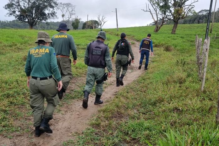 Operação Mata Atlântica em Pé em AL