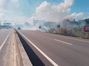 Incêndio em vegetação na AL-220 dificulta visibilidade de motoristas em Arapiraca