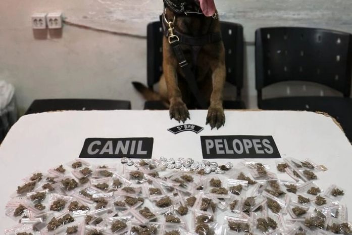 Adolescentes são apreendidos com mais de 200g de maconha no Agreste de Alagoas