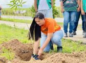 Arborizar é Massa: Alurb avança com primeira etapa do projeto em Maceió
