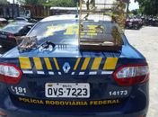 PRF prende homem na BR-316