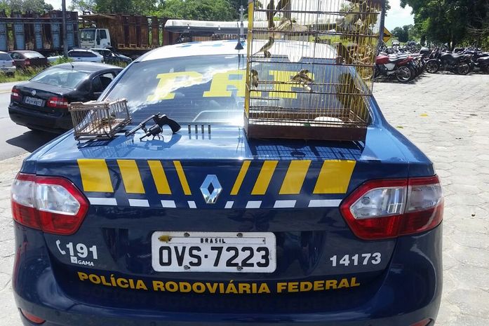 PRF prende homem na BR-316
