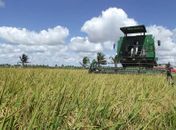 Codevasf investe R$ 1,6 milhão em infraestrutura do Projeto Público de Irrigação Boacica, em AL
 