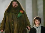 Robbie Coltrane, o Hagrid de 'Harry Potter', morre aos 72 anos