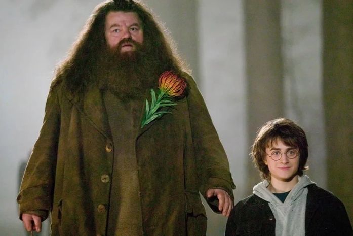Robbie Coltrane, o Hagrid de 'Harry Potter', morre aos 72 anos