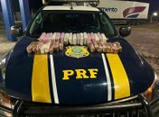 Operação conjunta apreende mais de 21kg de drogas na BR-101, em Alagoas