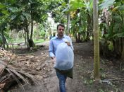 Secretaria de Meio Ambiente entrega 10 mil alevinos para produtores em Marechal Deodoro