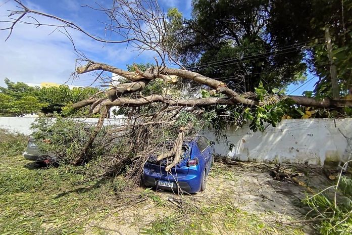 Árvore cai em cima de carros em condomínio na Jatiúca