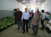 Prefeitura de Arapiraca entrega 21 toneladas de alimentos do PAA beneficiando mais de 15 mil pessoas