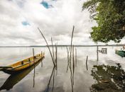 Até o final do ano outros nove bairros vão ganhar feiras literárias
