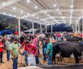 Pão de Açúcar realiza primeira Expoçúcar com torneios, palestras e valorização da agricultura familiar