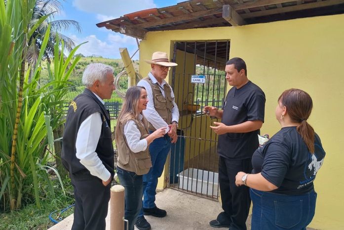 Canis e gatis em Viçosa marcam avanço do Programa de Apoio aos Animais