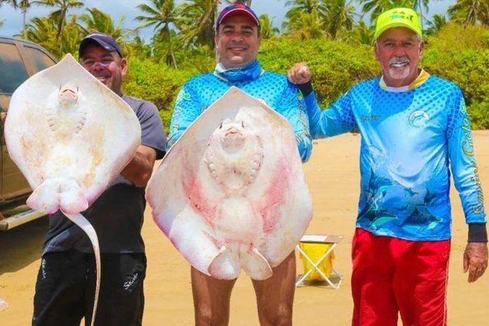 28º Festival do Maçunim e Gincana de Pesca de Arremesso tem início na próxima sexta-feira, 31