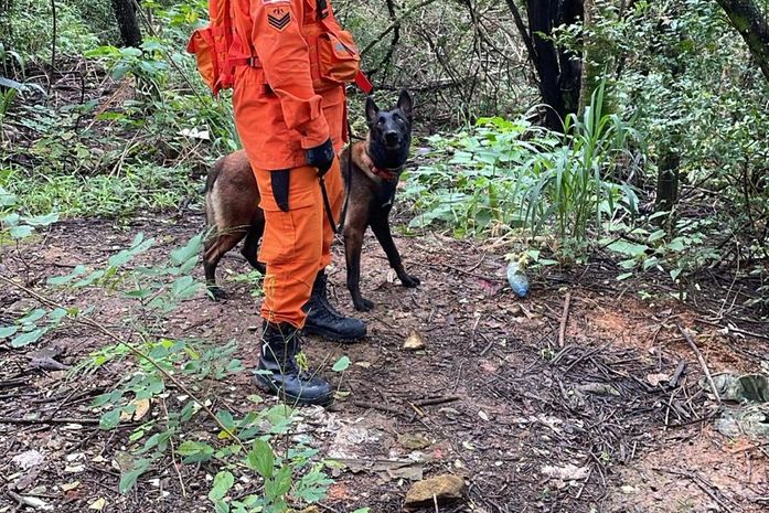 Bombeiros realizam operação para localizar mulher desaparecida na Serraria