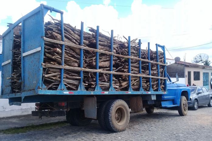 Caminhão livremente nas ruas de Capela/AL com uma carga de lenha