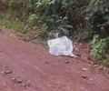 Homem é encontrado morto com marcas de tiros em estrada na zona rural de Palmeira dos Índios
