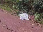 Homem é encontrado morto com marcas de tiros em estrada na zona rural de Palmeira dos Índios