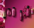 O Boticário apresenta Nativa SPA Orquídea Lumière, com iluminador corporal inédito e ação que mantém a pele iluminada por até 10 horas

