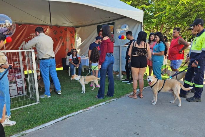 Parceria entre MVV e PetAki realiza 1ª Feira Adote Um AUmigo no Bosque das Arapiracas
