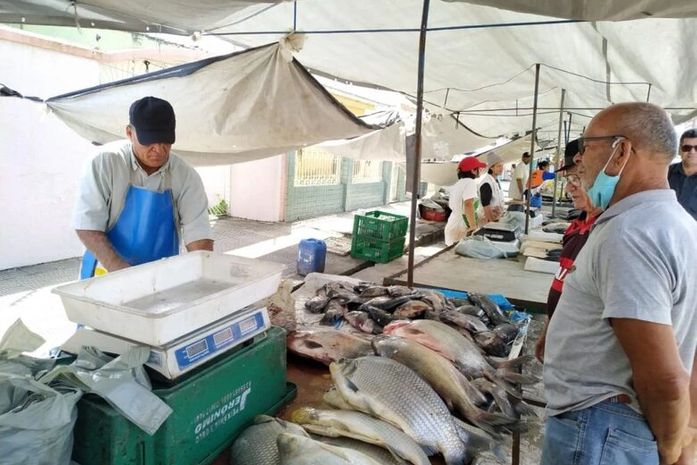 Prefeitura antecipa feiras livres para os dias 24 e 31 de dezembro