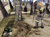 Iluminação de natal é religada em trechos da Orla após tentativas de furto de energia