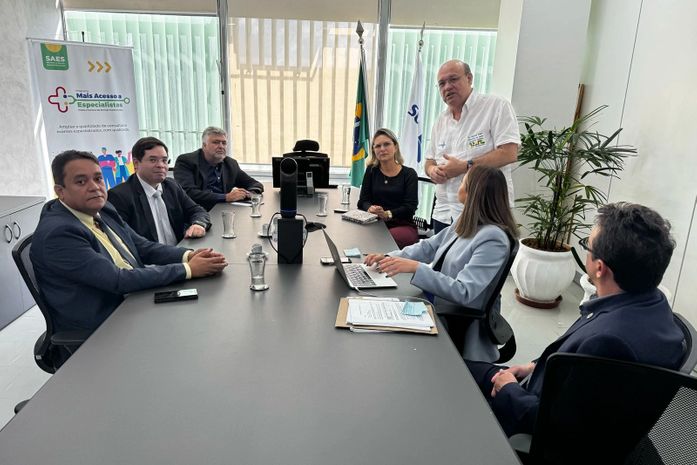 REDE DE ONCOLOGIA: Cosems-AL participa de discussão sobre pacto interfederativo