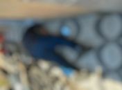 Jovem com tornozeleira eletrônica é morto a tiros na porta de casa, em Maceió