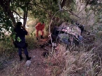 Rs=w:350,h:263,i:true,cg:true,ft:cover?cache=true