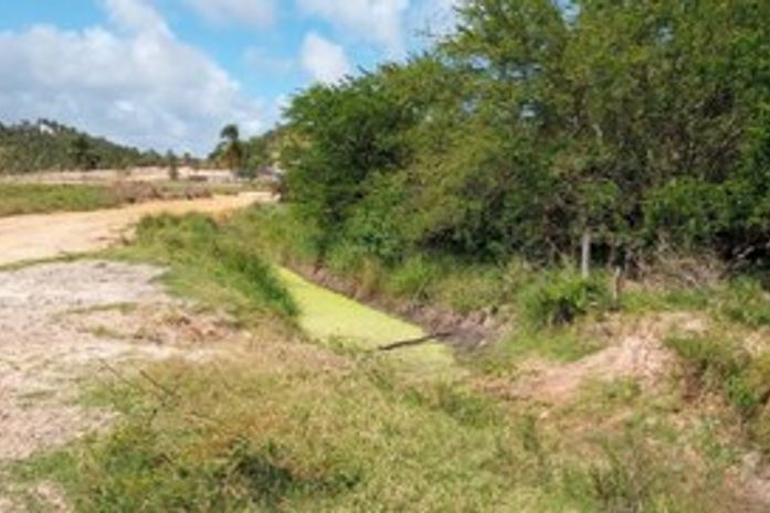MPF apura movimento de terra em manguezal no município de Maragogi